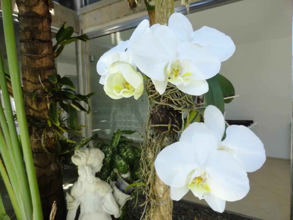 Pousada Orquideas Guarujá Esterno foto